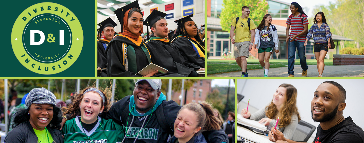 Diversity, Inclusion & Belonging at Stevenson