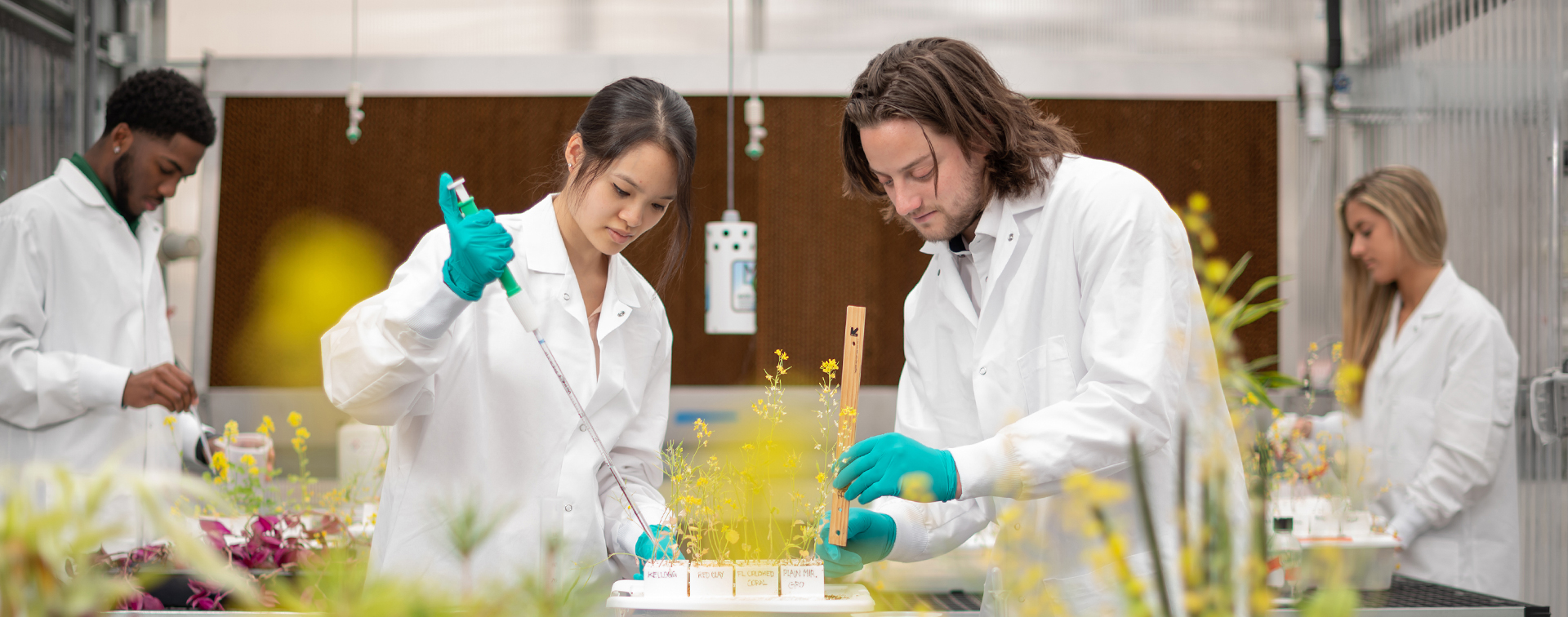 School of the Sciences News